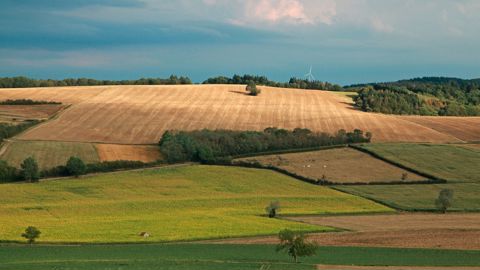 La parcelle de subsistance de l'agriculteur retraité peut être en propriété ou louée.