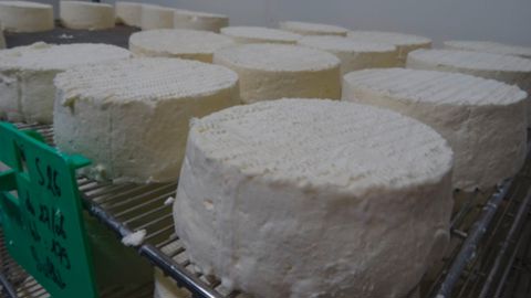 Affinage de fromages