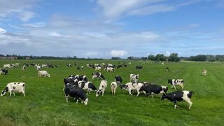 Pour permettre le renouvellement des générations, les chercheurs proposent d'activer des leviers financiers et fonciers. Une manière de penser autrement le maillage agricole national. Pour permettre le renouvellement des générations, les chercheurs proposent d'activer des leviers financiers et fonciers. Une manière de penser autrement le maillage agricole national.