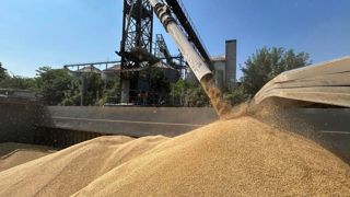 Les marchés céréaliers affichent une stabilité fragile malgré l’apaisement géopolitique mondial.