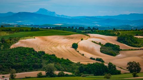 Dans les zones couvertes par la coopérative Arterris, le changement climatique contribue aux baisses de rendements et à la mise en péril de certaines exploitations. Dans les zones couvertes par la coopérative Arterris, le changement climatique contribue aux baisses de rendements et à la mise en péril de certaines exploitations.
