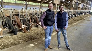 Grégoire Leleu (à gauche) et son frère Thomas élèvent environ 90 vaches de race Jersiaise, Brune des Alpes et Red Holstein, à Saint-Fuscien (Somme). Grégoire Leleu (à gauche) et son frère Thomas élèvent environ 90 vaches de race Jersiaise, Brune des Alpes et Red Holstein, à Saint-Fuscien (Somme).