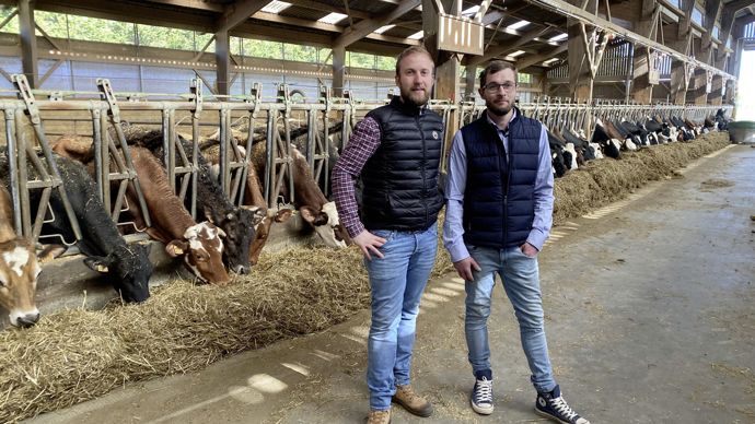 Fabriquer des produits laitiers à la ferme