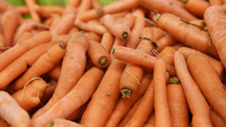 La production de carottes se maintient à 343 000 tonnes sur la campagne de 2024-2025. La production de carottes se maintient à 343 000 tonnes sur la campagne de 2024-2025.