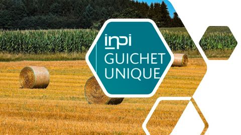 Pour déclarer sa cessation d'activité, il faut se rendre sur le site de l'INPI.