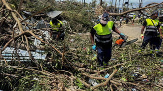 A Mayotte, les agriculteurs souffrent encore des dégâts causés par le cyclone Chido, qui a frappé l'île le 14 décembre 2024.