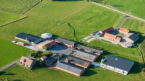 La commission européenne propose plus de simplification aux agriculteurs. La commission européenne propose plus de simplification aux agriculteurs.