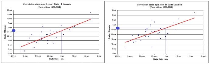 Corrélation entre les stades épi 1 cm et 2 nœuds ou épiaison. (cliquer pour agrandir)