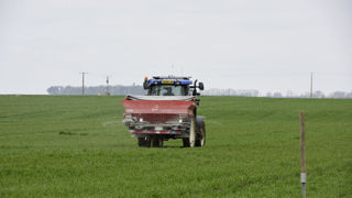 Les prix de l'azote ont été soutenus en avril et au début de mai 2025, selon Maria Gras, adjointe à la cheffe de l’unité des grains et du sucre de FranceAgriMer. Les prix de l'azote ont été soutenus en avril et au début de mai 2025, selon Maria Gras, adjointe à la cheffe de l’unité des grains et du sucre de FranceAgriMer.