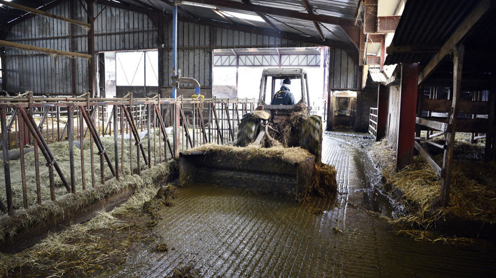 La productivité agricole a exposé depuis 1960 : elle a a progressé à un rythme annuel moyen de 3,87 %.