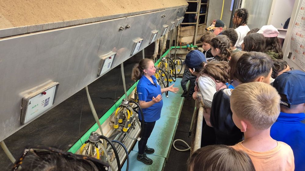 Blaesheim (Bas-Rhin), le 12 mai 2025. Marie Goos dans la salle de traite rappelle aux enfants que chaque vache est traite deux fois par jour.