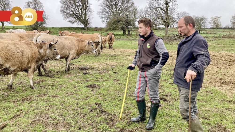 Yann Warnery, salarié de l'Organisme de sélection de la race aubrac (à gauche) en compagnie de Benoît Guibal, éleveur à Chaudes-Aigues dans le Cantal.