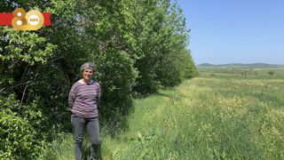 Claudie plante chaque année entre 200 et 500 arbres sur son exploitation, en intra ou inter parcellaire. Claudie plante chaque année entre 200 et 500 arbres sur son exploitation, en intra ou inter parcellaire.