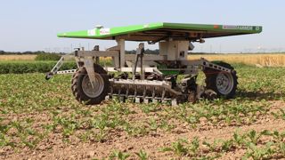 Les robots légers comme le FarmDroïd, capable de semer et désherber, remportent un important succès auprès des betteraviers.