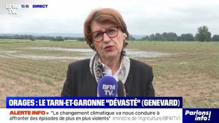 La ministre de l'Agriculture et de la Souveraineté alimentaire était en déplacement dans le Tarn et Tarn-et-Garonne, le 21 avril 2025, après les intempéries. La ministre de l'Agriculture et de la Souveraineté alimentaire était en déplacement dans le Tarn et Tarn-et-Garonne, le 21 avril 2025, après les intempéries.