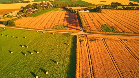 En 2024, le marché des terres et prés libres a poursuivi un repli amorcé en 2023. En 2024, le marché des terres et prés libres a poursuivi un repli amorcé en 2023.