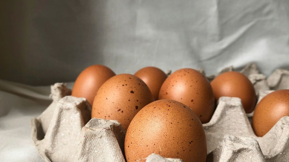 Quelque 55 000 œufs sont produits chaque seconde dans le monde, selon le CNPO.