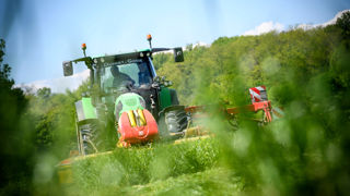 Faucher autrement les prairies permanentes, en suivant des formes variées, favoriserait davantage les abeilles et les papillons, d’après des chercheurs belges. Faucher autrement les prairies permanentes, en suivant des formes variées, favoriserait davantage les abeilles et les papillons, d’après des chercheurs belges.