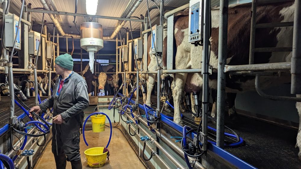 Le prix du lait moyen payé aux producteurs (tous segments, teneurs réelles) s'est établi à 497,4€/t en France en mars 2025.