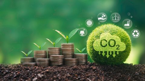 La dynamique du carbon farming s’accélère à travers l’Europe et le cadre réglementaire s’éclaircit.