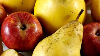 Selon Agreste, les stock de pommes augmentent entre avril 2024 et avril 2025 tandis que ceux de poires diminuent. Selon Agreste, les stock de pommes augmentent entre avril 2024 et avril 2025 tandis que ceux de poires diminuent.