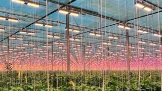 GreenTech, salon des technologies horticoles, se tiendra du 10 au 12 juin au RAI Amsterdam, aux Pays-Bas. GreenTech, salon des technologies horticoles, se tiendra du 10 au 12 juin au RAI Amsterdam, aux Pays-Bas.