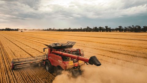 La connectivité Starlink devrait permettre aux machines Case IH, New Holland et Steyr d'échanger d'importants flux de données. La connectivité Starlink devrait permettre aux machines Case IH, New Holland et Steyr d'échanger d'importants flux de données.