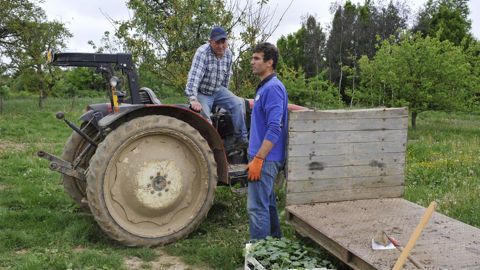 Un employeur maraîcher et son salarié, dans les Yvelines. (image d'illustration)