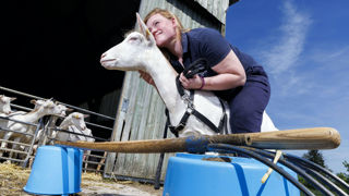 La ferme de Germigney (Jura) accueille la troisième édition de Photo Rural d’Amour du 7 au 10 juin 2025. La ferme de Germigney (Jura) accueille la troisième édition de Photo Rural d’Amour du 7 au 10 juin 2025.