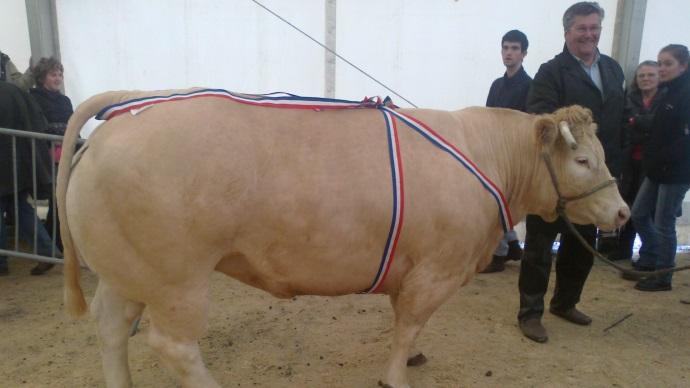 Concours Laguiole