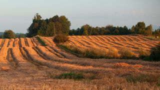 Comment refonder la gouvernance foncière ? L'Académie d'agriculture évoque plusieurs pistes dans son dernier rapport. Comment refonder la gouvernance foncière ? L'Académie d'agriculture évoque plusieurs pistes dans son dernier rapport.