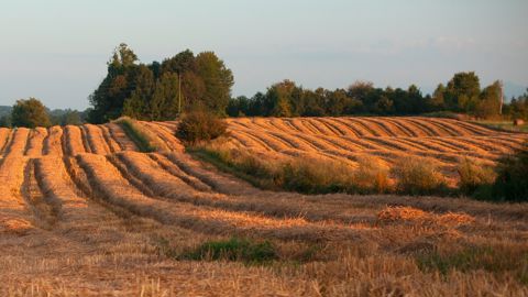 Comment refonder la gouvernance foncière ? L'Académie d'agriculture évoque plusieurs pistes dans son dernier rapport. Comment refonder la gouvernance foncière ? L'Académie d'agriculture évoque plusieurs pistes dans son dernier rapport.