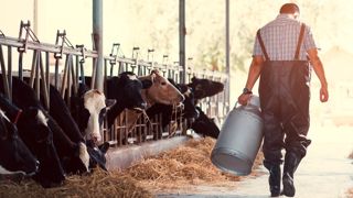 Parmi les fermes suivies par les cellules Réagir de Bretagne, les jeunes agriculteurs sont surreprésentés. Parmi les fermes suivies par les cellules Réagir de Bretagne, les jeunes agriculteurs sont surreprésentés.