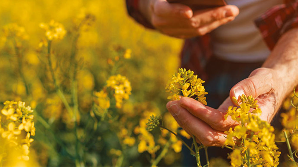 Une génération qui montre l’exemple