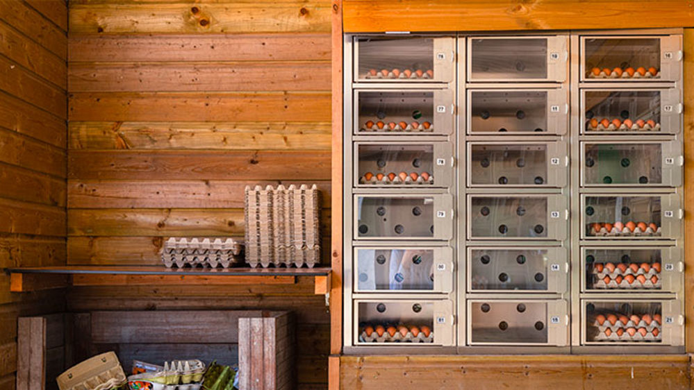 Sortir du cadre pour faire vivre sa ferme autrement