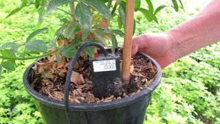 Pour être éligible, une demande doit inclure au moins un outil d’aide à la décision sous forme de sonde ou de capteur, figurant dans le tableau 2. Sur la photo, une sonde capacitive.