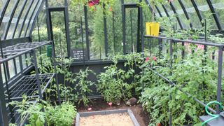 Quand l'ensoleillement s'intensifie, les températures grimpent fortement sous la serre.