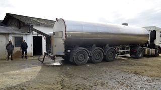 En avril 2025, la collecte de lait de vache augmente comme son prix qui s'établit à 492,50 euros les 1 000 litres en avril 2025, pour le lait conventionnel à teneurs réelles, selon Agreste. En avril 2025, la collecte de lait de vache augmente comme son prix qui s'établit à 492,50 euros les 1 000 litres en avril 2025, pour le lait conventionnel à teneurs réelles, selon Agreste.