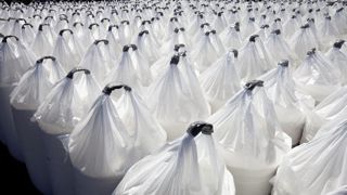 L'Unifa estime que la taxation des engrais azotés russes et bélarusses qui débutera le 1er juillet 2025 impactera peu le prix des engrais. L'organisation parle de 5 à 10 $/t. L'Unifa estime que la taxation des engrais azotés russes et bélarusses qui débutera le 1er juillet 2025 impactera peu le prix des engrais. L'organisation parle de 5 à 10 $/t.
