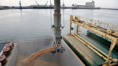 Les acteurs céréaliers du port de La Rochelle, Socomac et Sica Atlantique, s'attendent à « des qualités de retour aux normales et des volumes plus abondants ».