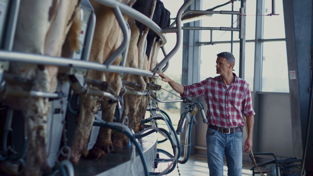 Agriculteur inspectant son roto de traite Agriculteur inspectant son roto de traite