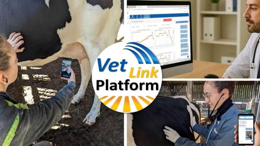 VetLinkPlatform pour la téléconsultation vétérinaire