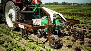 La solution InRowing de Farm-Ing désherbe mécaniquement sur le rang, entre les plants de la culture. La solution InRowing de Farm-Ing désherbe mécaniquement sur le rang, entre les plants de la culture.