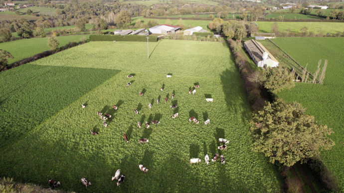 Repérer les systèmes les plus efficients en bovins lait