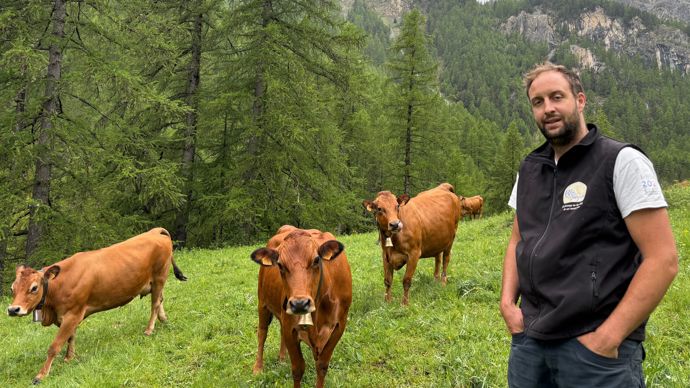 François Blanc, 34 ans, élève 65 vaches tarines et 10 aubracs dans les Hautes-Alpes avec ses trois associés, en système très autonome et extensif.