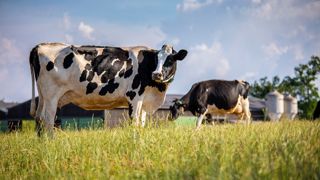 [Vu sur le web] Une fiche qui dit tout de la fièvre Q