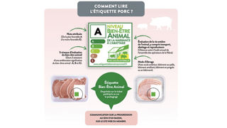 L’étiquette repose sur l’évaluation de plus de 310 critères tout au long de la vie de l’animal, depuis l’élevage des truies reproductrices jusqu’à l’abattage. L’étiquette repose sur l’évaluation de plus de 310 critères tout au long de la vie de l’animal, depuis l’élevage des truies reproductrices jusqu’à l’abattage.