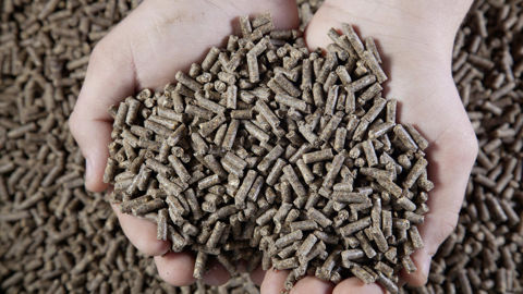 Les industriels de la nutrition animale estiment que des investissements dans la production animale doivent être faits à l'échelle européenne, sur tous les maillons de la chaîne. Les industriels de la nutrition animale estiment que des investissements dans la production animale doivent être faits à l'échelle européenne, sur tous les maillons de la chaîne.