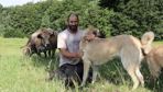 « J'aurais dû me former avant d'acheter les chiots » bergers d'Anatolie, indique Étienne Mathieu.
