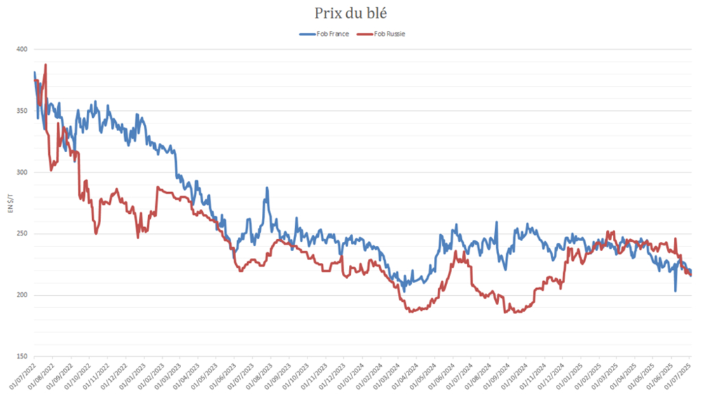 Le blé russe gagne de nouveau en compétitivité.
